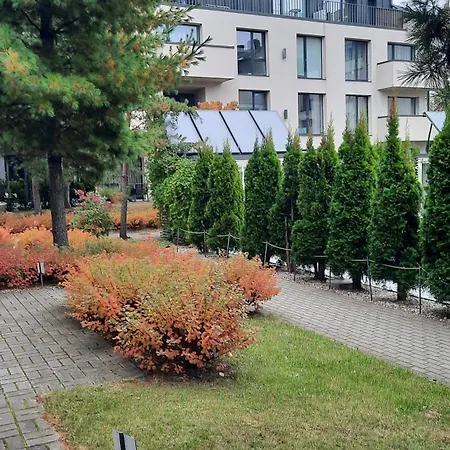 Maluno Vilos - Vaivos * Palanga