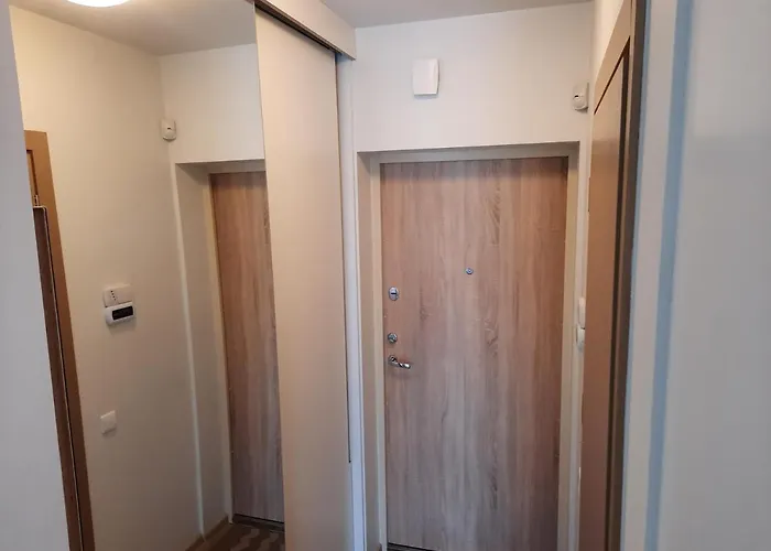 Maluno Vilos - Vaivos * Palanga