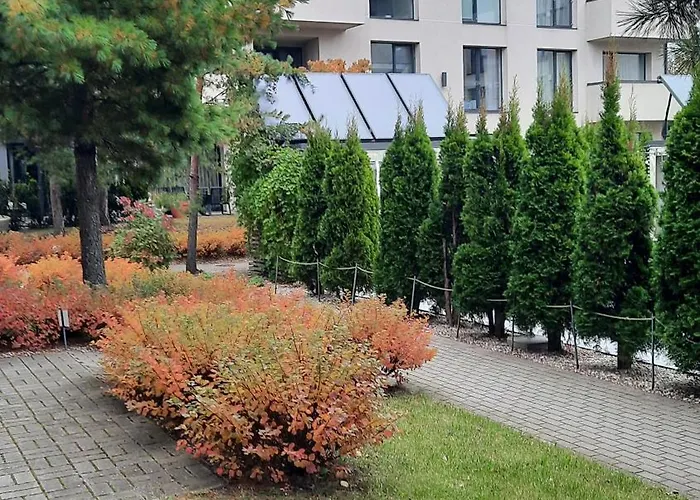 Maluno Vilos - Vaivos * 팔랑가